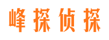 九龙坡出轨调查